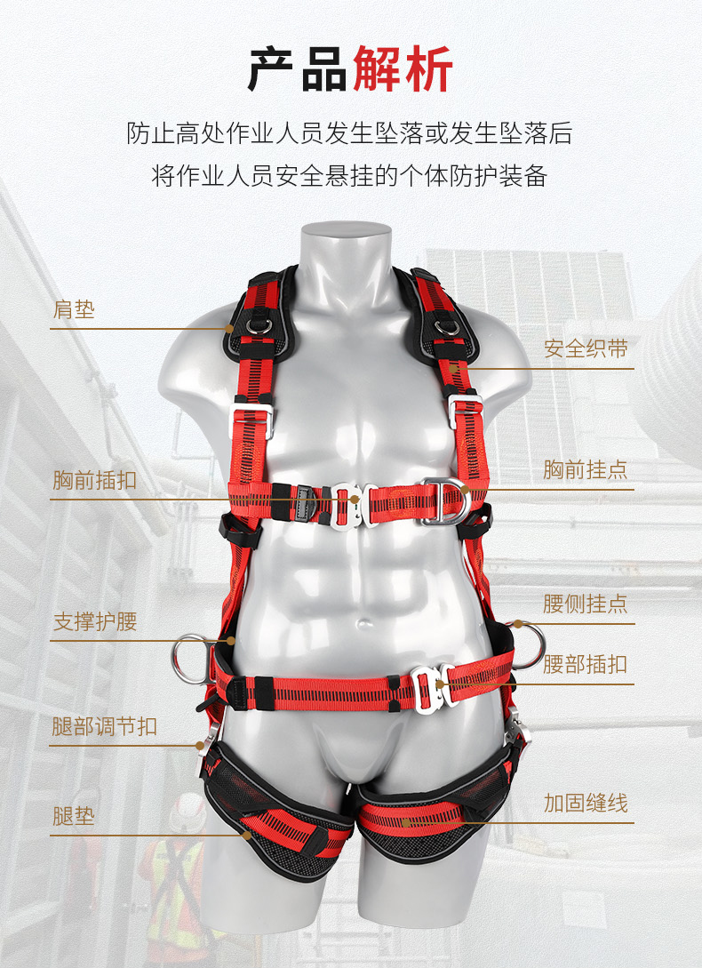 非洲象FA40602安全帶詳情_04.jpg